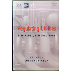 Regulating Utilities: New Issues, New Solutions