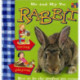 Me and My Pet Rabbit
