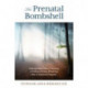 The Prenatal Bombshell: Help and Hope When Continuing or Ending a Precious Pregnancy After an Abnormal Diagnosis