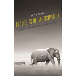 Ecologies of Participation: Agents, Shamans, Mystics, and Diviners
