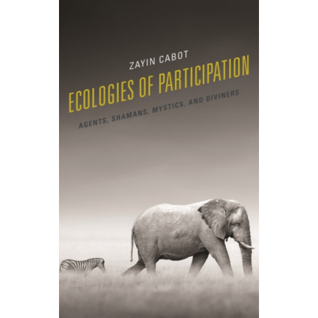 Ecologies of Participation: Agents, Shamans, Mystics, and Diviners