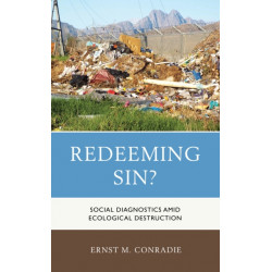Redeeming Sin?: Social Diagnostics amid Ecological Destruction