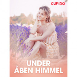 Under åben himmel - erotiske noveller
