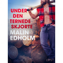 Under den ternede skjorte - Erotisk novelle