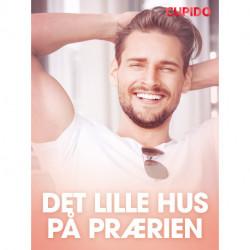 Det lille hus på prærien - erotiske noveller