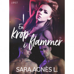 En krop i flammer - erotisk novelle