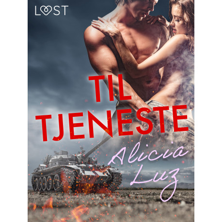 Til tjeneste - erotisk novelle