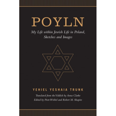 Poyln: My Life Within Jewish Life in Poland, Sketches and Images