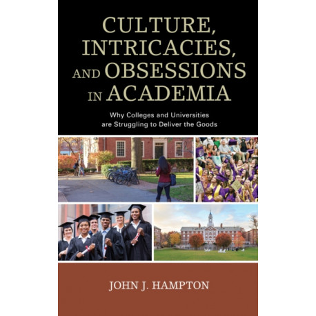 Culture, Intricacies, and Obsessions in Academia: Why Colleges and Universities are Struggling to Deliver the Goods