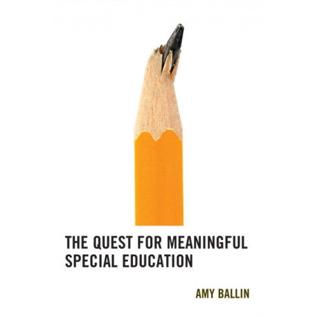 The Quest for Meaningful Special Education