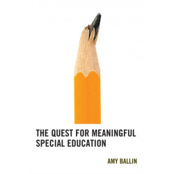 The Quest for Meaningful Special Education