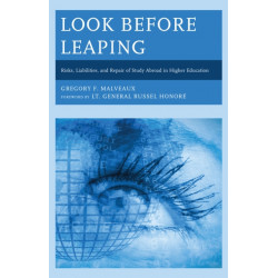 Look Before Leaping: Risks, Liabilities, and Repair of Study Abroad in Higher Education