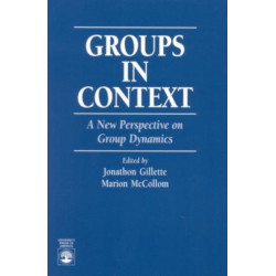 Groups in Context: A New Perspective on Group Dynamics