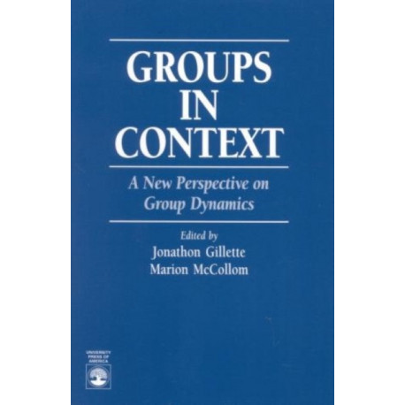Groups in Context: A New Perspective on Group Dynamics