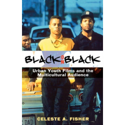 Black on Black: Urban Youth Films and the Multicultural Audience