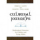 Cultural Journeys: Multicultural Literature for Children and Young Adults
