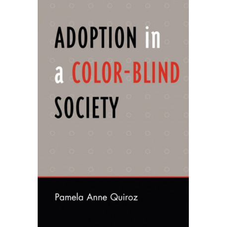 Adoption in a Color-Blind Society