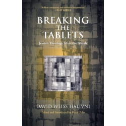 Breaking the Tablets: Jewish Theology After the Shoah