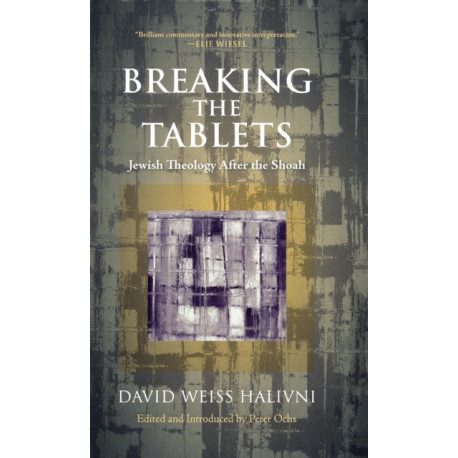 Breaking the Tablets: Jewish Theology After the Shoah