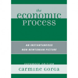 The Economic Process: An Instantaneous Non-Newtonian Picture