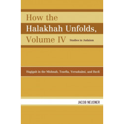 How the Halakhah Unfolds: Hagigah in the Mishnah, Tosefta, Yerushalmi, and Bavli, Volume IV