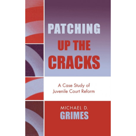 Patching Up the Cracks: A Case Study of Juvenile Court Reform