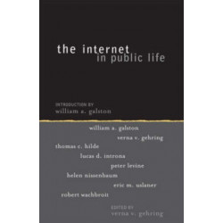 The Internet in Public Life