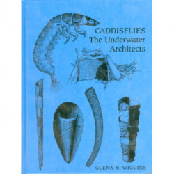 Caddisflies: The Underwater Architects