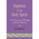 Baptism in the Holy Spirit: An Ecumenical Theology of Spirit Baptism