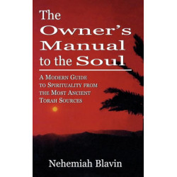 The Owner's Manual to the Soul: A Modern Guide to Spirituality from the Most Ancient Torah Sources