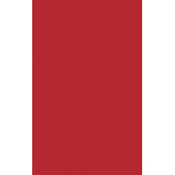 Global Multiculturalism: Comparative Perspectives on Ethnicity, Race, and Nation