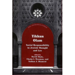 Tikkun Olam: Social Responsibility in Jewish Thought and Law