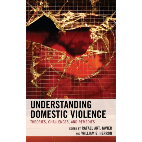 Understanding Domestic Violence: Theories, Challenges, and Remedies