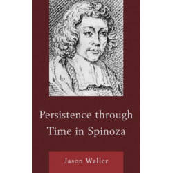 Persistence through Time in Spinoza