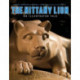The Nittany Lion: An Illustrated Tale
