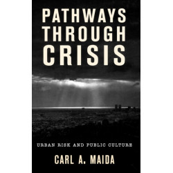 Pathways through Crisis: Urban Risk and Public Culture
