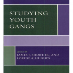 Studying Youth Gangs