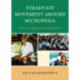 Steadfast Movement around Micronesia: Satowan Enlargements beyond Migration
