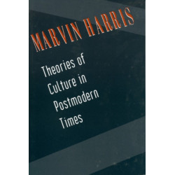 Theories of Culture in Postmodern Times