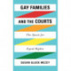 Gay Families and the Courts: The Quest for Equal Rights