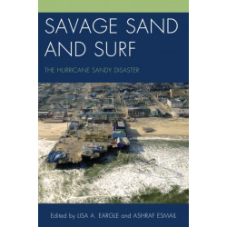 Savage Sand and Surf: The Hurricane Sandy Disaster