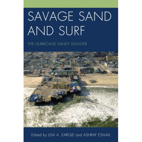 Savage Sand and Surf: The Hurricane Sandy Disaster