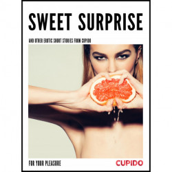 Sweet surprise - and other erotic short stories