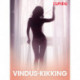 Vindus-kikking