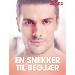 En snekker til begjær