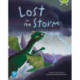 Bug Club Shared Reading: Lost in the Storm (Year 1)