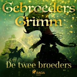 De twee broeders