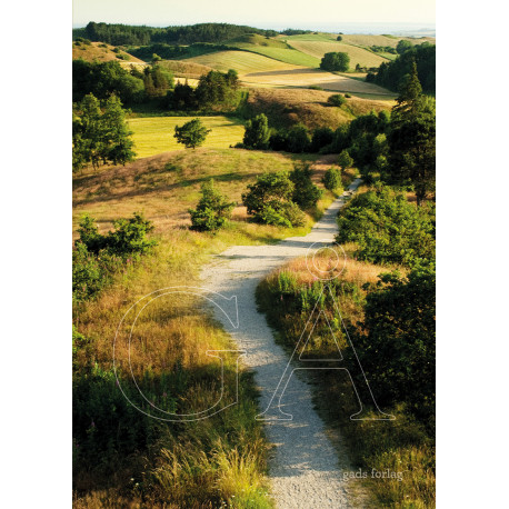 GÅ: En hyldest til vandringen