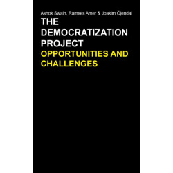 The Democratization Project: Opportunities and Challenges