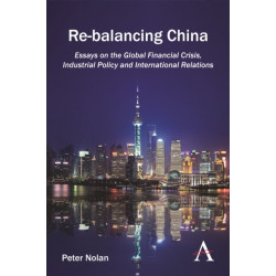 Re-balancing China: Essays on the Global Financial Crisis, Industrial Policy and International Relations